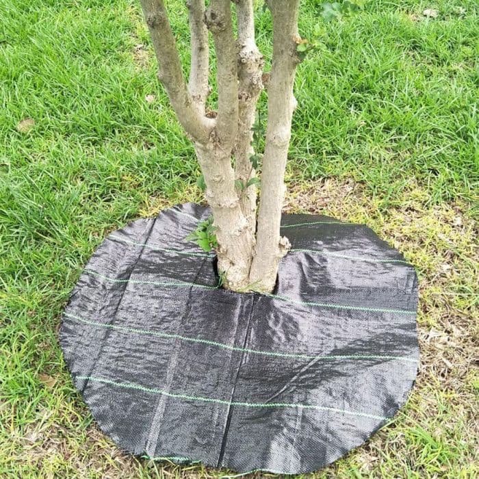 Telo professionale per pacciamatura anti alga/ erbacce in polipropilene 210cm x 40m - 100gr/mq in Barriere di tessuto per erbacce CarrelloDigitale.it - Seclì, commercioVirtuoso.it