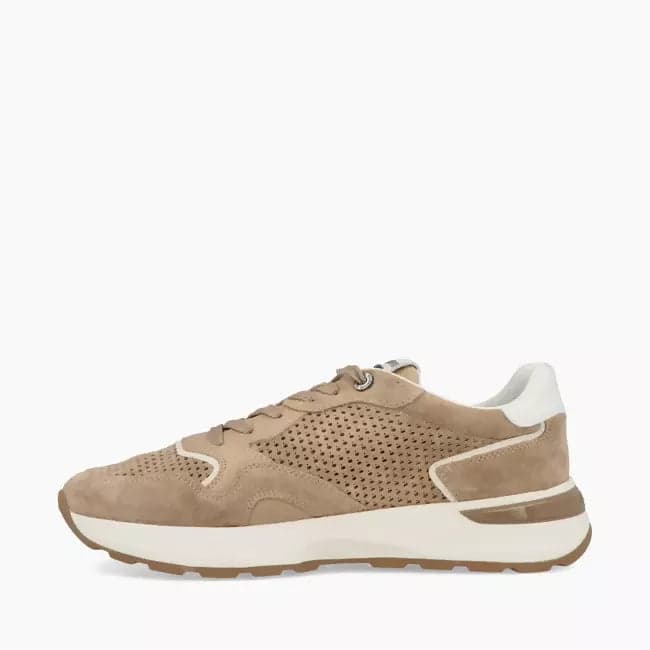 Alberto Guardiani uomo sneakers in suede in Sneaker casual Cantali Calzature - Randazzo, commercioVirtuoso.it