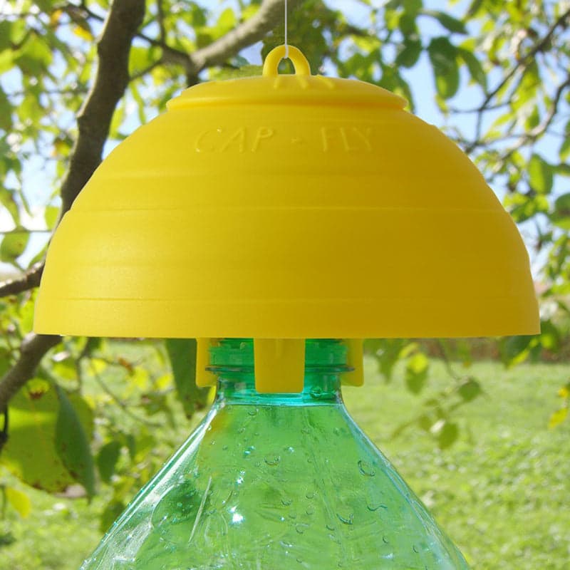 Cap-Fly Trap cf.5 Pz. Biotrappola Cromotropica Alimentare Vebi in Zanzare Taliachicce.it - Milazzo, commercioVirtuoso.it