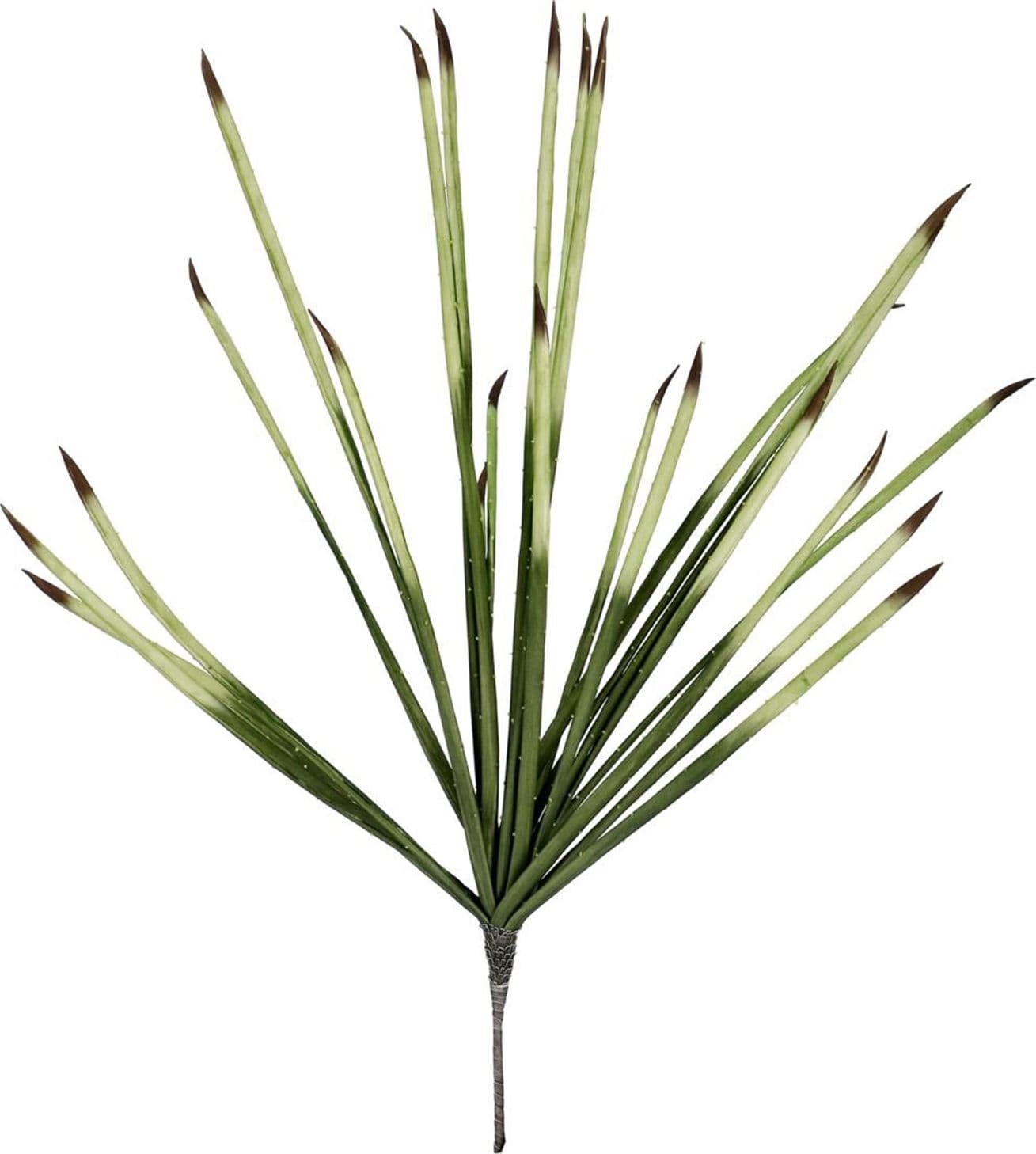 Mazzetto pianta vivian con tonalità verdi 105 cm – Verde Chiaro-Scuro – Andrea Bizzotto Spa