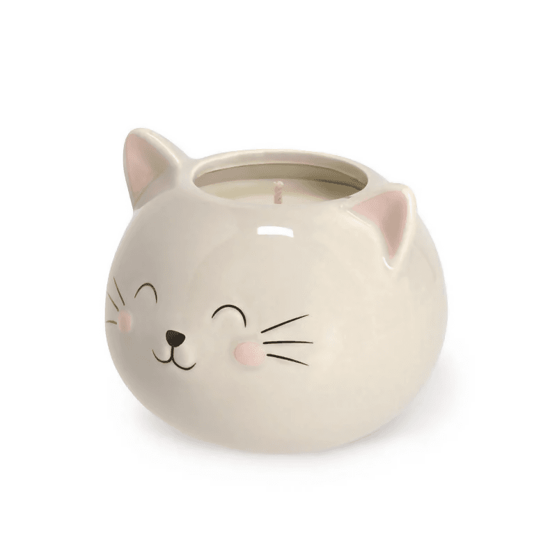 gatto 4
