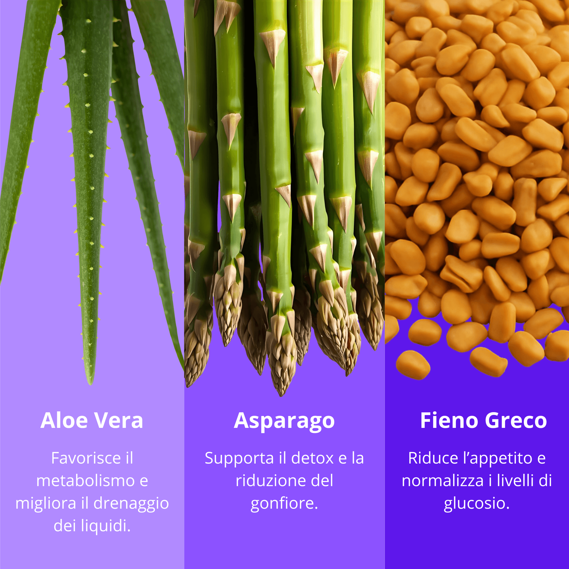 Aloe Brucia Grassi Integratore Per Dimagrire Alimentare Dimagrante Forte 60 Compresse Dimagrante Integratore Naturale in Bruciatori di grasso BasketGuru Italia - Palermo, commercioVirtuoso.it