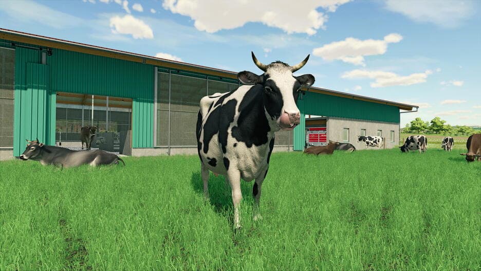 Farming Simulator 22 PS5 UK in Volanti da gioco Prezzo Bomba Store - Casalnuovo di Napoli, commercioVirtuoso.it