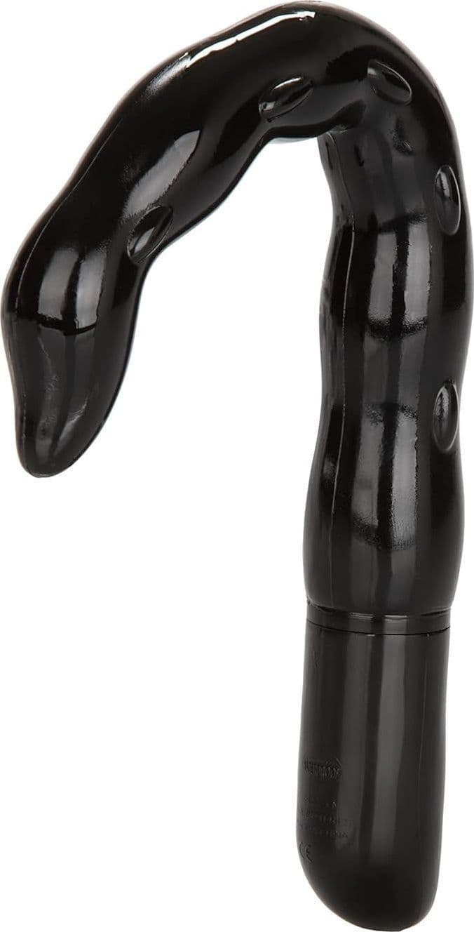 CalExotics Dr. Stimolatore prostatico di Joel Kaplan vibrazioni 10 x pulsazioni in prodotto Erosdom - Palmi, commercioVirtuoso.it