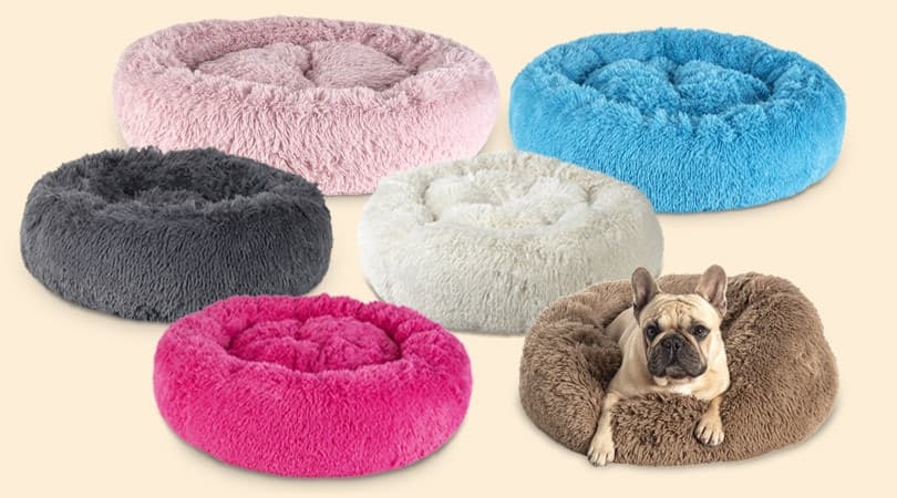 Cuccia pelosa super soft antistress per cani in Lettini 101 Market - Poggibonsi, commercioVirtuoso.it