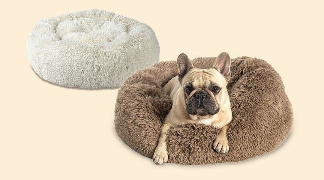 Cuccia pelosa super soft antistress per cani in Lettini 101 Market - Poggibonsi, commercioVirtuoso.it