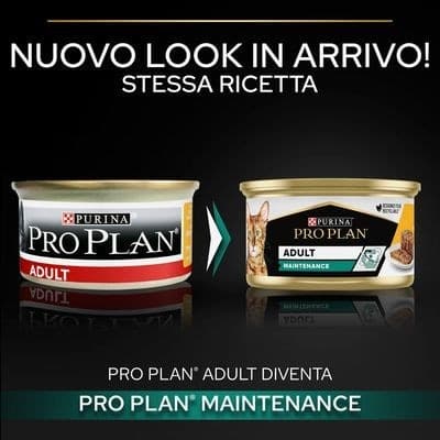 Purina Pro Plan Adult Maintenance Umido Gatti con Pollo 85gr in Secco 101 Market - Poggibonsi, commercioVirtuoso.it