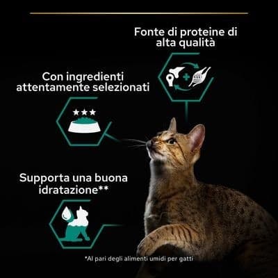 Purina Pro Plan Adult Maintenance Umido Gatti con Pollo 85gr in Secco 101 Market - Poggibonsi, commercioVirtuoso.it