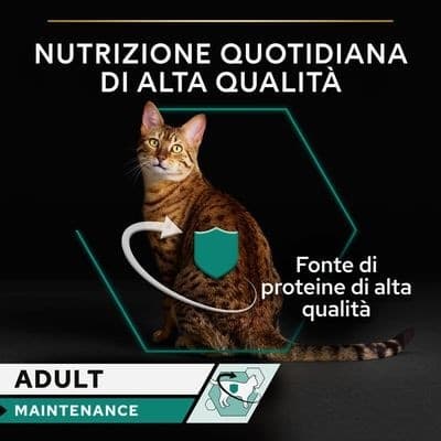 Purina Pro Plan Adult Maintenance Umido Gatti con Pollo 85gr in Secco 101 Market - Poggibonsi, commercioVirtuoso.it