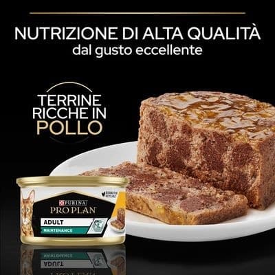 Purina Pro Plan Adult Maintenance Umido Gatti con Pollo 85gr in Secco 101 Market - Poggibonsi, commercioVirtuoso.it