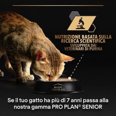 Purina Pro Plan Adult Maintenance Umido Gatti con Pollo 85gr in Secco 101 Market - Poggibonsi, commercioVirtuoso.it