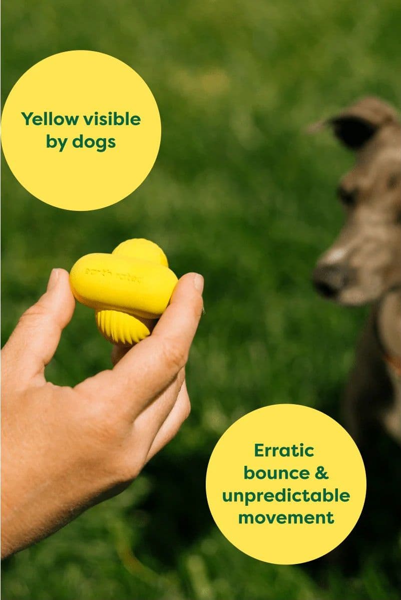 Earth Rated Dog Fetch Toy Gioco per Cani in Palle 101 Market - Poggibonsi, commercioVirtuoso.it