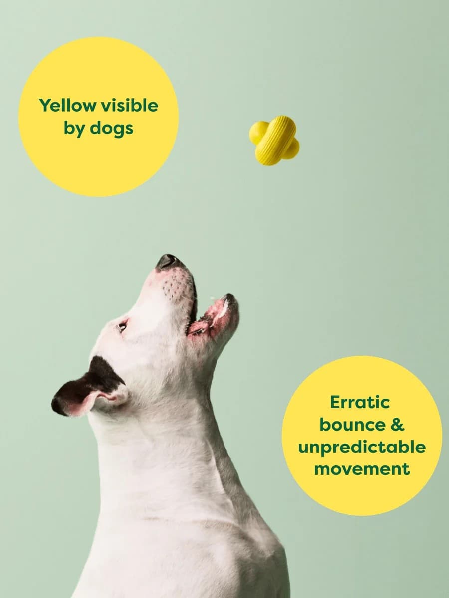 Earth Rated Dog Fetch Toy Gioco per Cani in Palle 101 Market - Poggibonsi, commercioVirtuoso.it