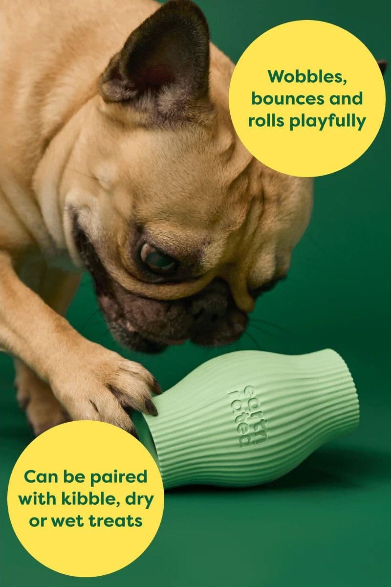 Earth Rated Treat Toy Gioco per Cani in Giochi interattivi 101 Market - Poggibonsi, commercioVirtuoso.it