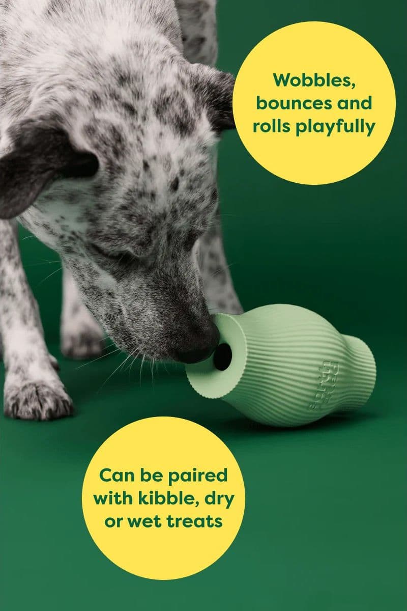 Earth Rated Treat Toy Gioco per Cani in Giochi interattivi 101 Market - Poggibonsi, commercioVirtuoso.it