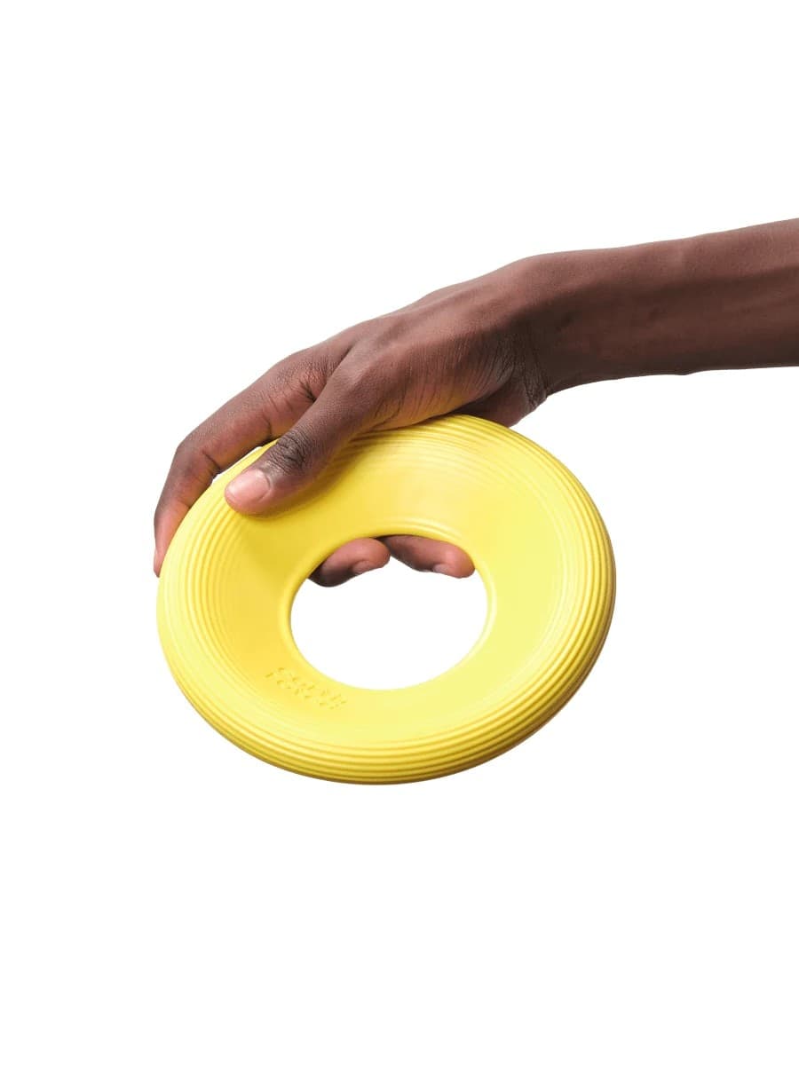 Earth Rated Dog Fly Toy Gioco per Cani in Palle 101 Market - Poggibonsi, commercioVirtuoso.it