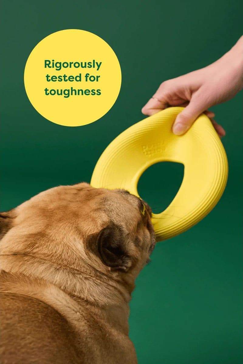 Earth Rated Dog Fly Toy Gioco per Cani in Palle 101 Market - Poggibonsi, commercioVirtuoso.it