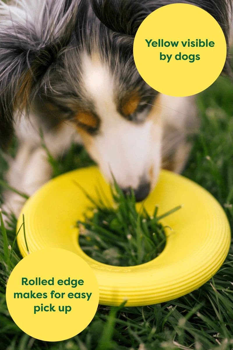 Earth Rated Dog Fly Toy Gioco per Cani in Palle 101 Market - Poggibonsi, commercioVirtuoso.it