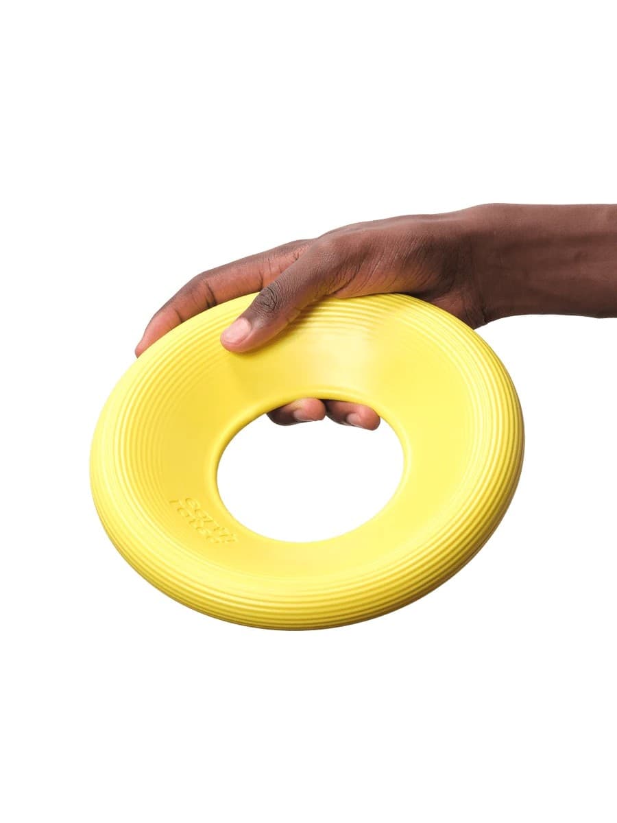 Earth Rated Dog Fly Toy Gioco per Cani in Palle 101 Market - Poggibonsi, commercioVirtuoso.it