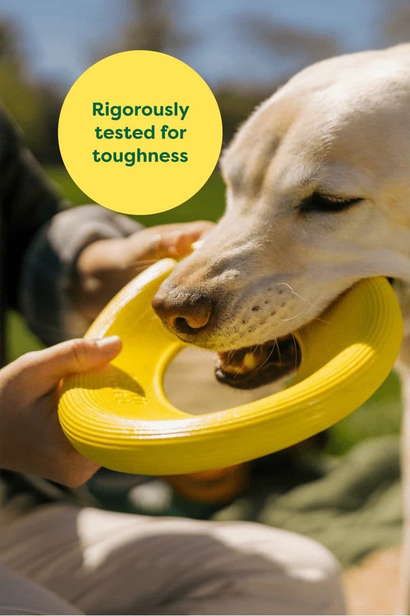 Earth Rated Dog Fly Toy Gioco per Cani in Palle 101 Market - Poggibonsi, commercioVirtuoso.it