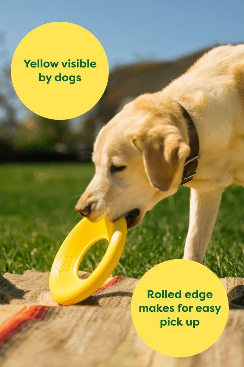 Earth Rated Dog Fly Toy Gioco per Cani in Palle 101 Market - Poggibonsi, commercioVirtuoso.it