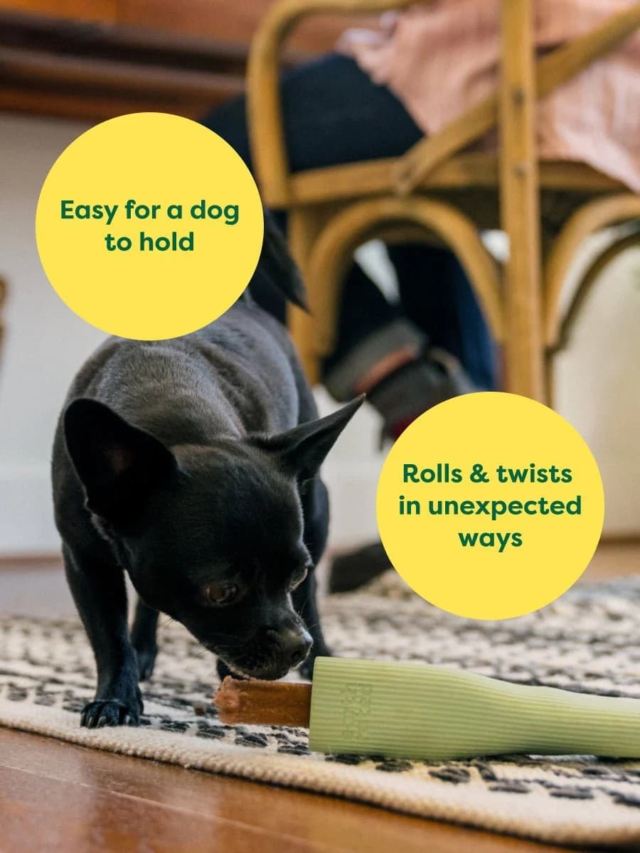 Earth Rated Dog Chew Toy Gioco per Cani in Palle 101 Market - Poggibonsi, commercioVirtuoso.it