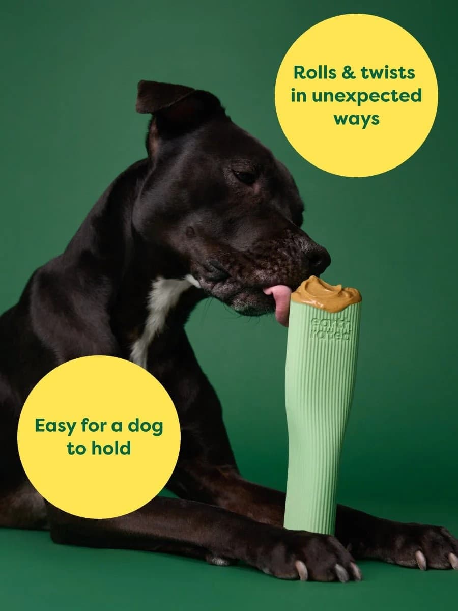 Earth Rated Dog Chew Toy Gioco per Cani in Palle 101 Market - Poggibonsi, commercioVirtuoso.it