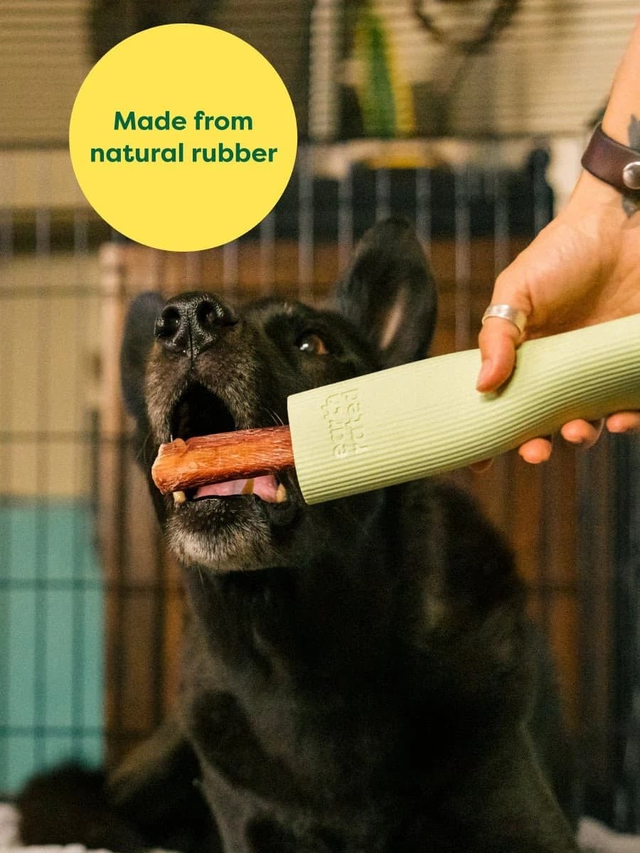 Earth Rated Dog Chew Toy Gioco per Cani in Palle 101 Market - Poggibonsi, commercioVirtuoso.it