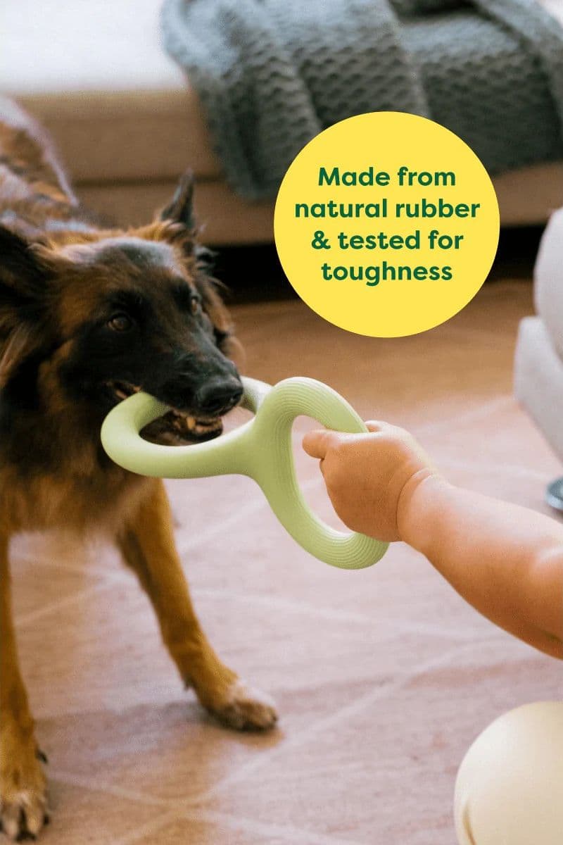 Earth Rated Dog Tug Toy Gioco per Cani in Corde 101 Market - Poggibonsi, commercioVirtuoso.it