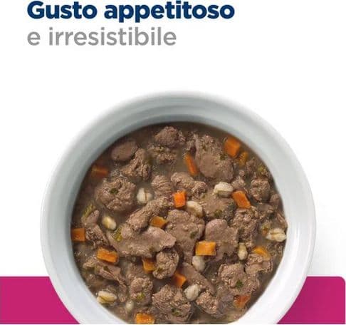Hill's Prescription Diet Biome Digestive spezzatino Pollo e Verdure umido Gatti Adulti 82 gr in Secco 101 Market - Poggibonsi, commercioVirtuoso.it