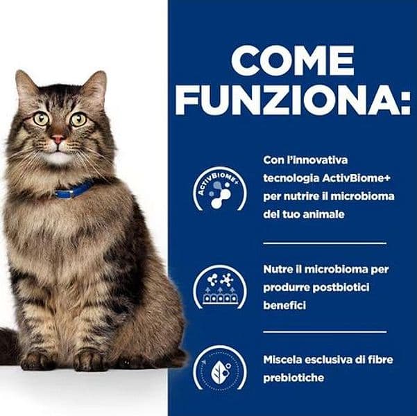 Hill's Prescription Diet Biome Digestive Pollo umido Gatti Adulti Bustina 85 gr in Secco 101 Market - Poggibonsi, commercioVirtuoso.it