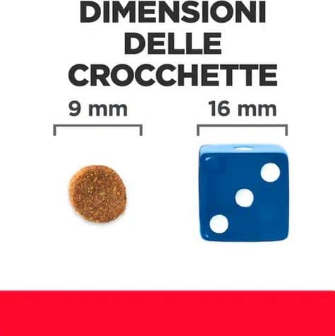 Hill's Prescription Diet Biome Digestive Stress Pollo umido Gatti Adulti 1,5 kg in Secco 101 Market - Poggibonsi, commercioVirtuoso.it