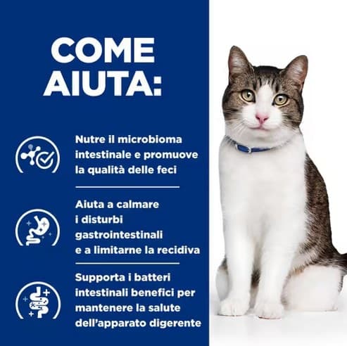 Hill's Prescription Diet Biome Digestive Stress Pollo umido Gatti Adulti 1,5 kg in Secco 101 Market - Poggibonsi, commercioVirtuoso.it