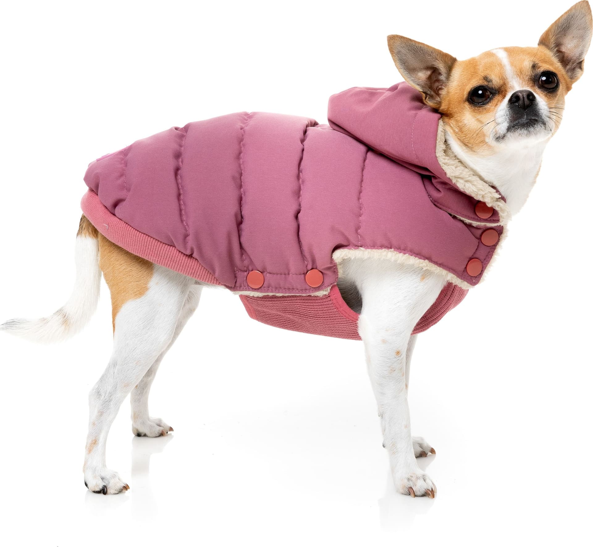 FuzzYard Essential Puffer Piumino per Cani in Cappotti e giubbotti 101 Market - Poggibonsi, commercioVirtuoso.it