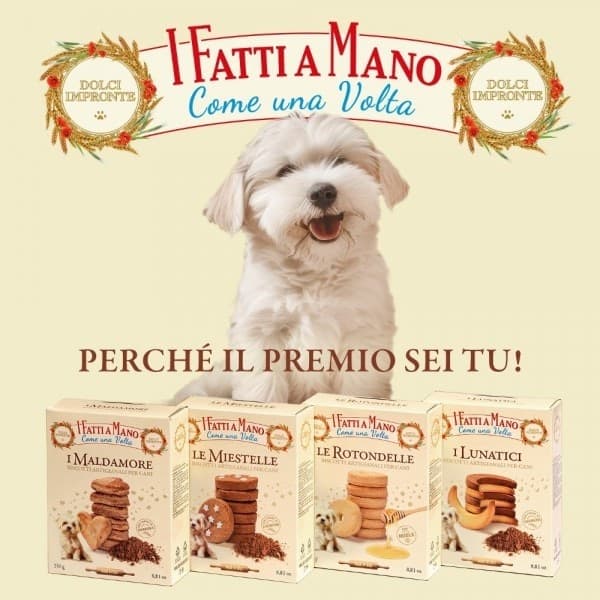 Dolci Impronte Le Miestelle Biscotti Artigianali per Cani 250gr in Biscotti bocconcini e snack 101 Market - Poggibonsi, commercioVirtuoso.it