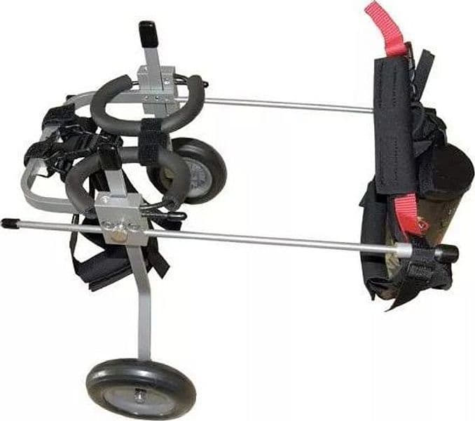 CARRELLO SEDIA A ROTELLE PER CANI DISABILI in Cura di anche e articolazioni 101 Market - Poggibonsi, commercioVirtuoso.it