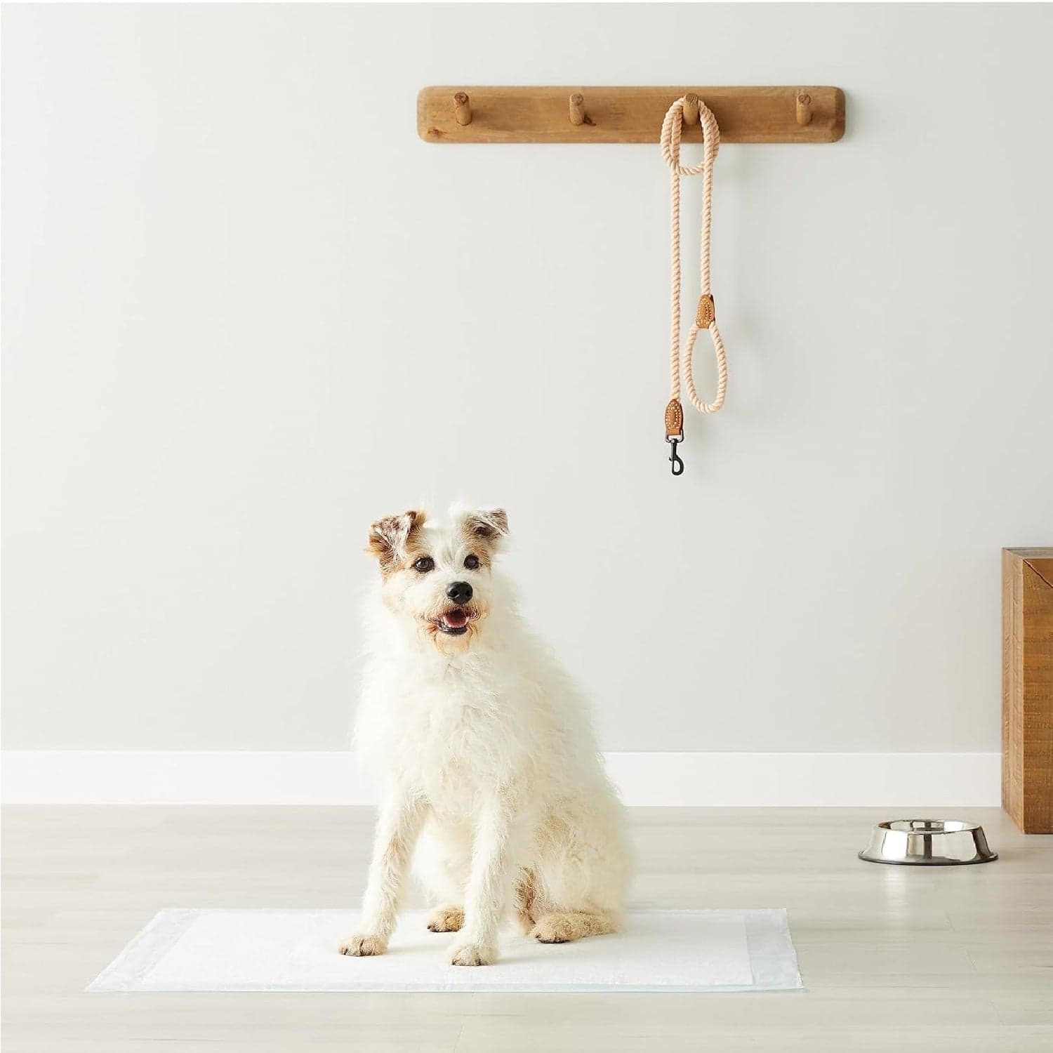 120pz Tappetini Igienici Traversine Cane Super Assorbenti 60x90cm con adesivo in Pannolini e mutande igieniche Danyx - Casoria, commercioVirtuoso.it