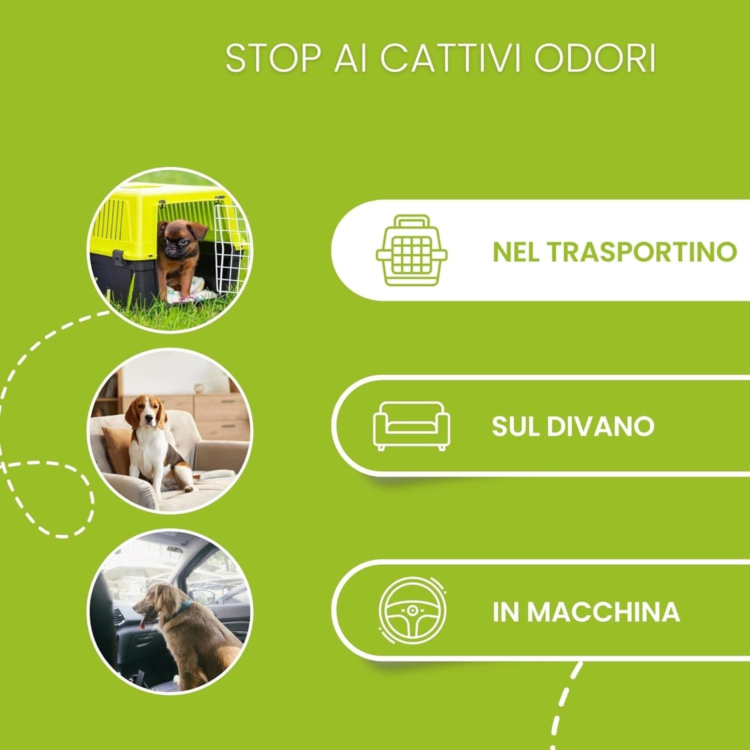 120pz Tappetini Igienici Traversine Cane Super Assorbenti 60x90cm con adesivo in Pannolini e mutande igieniche Danyx - Casoria, commercioVirtuoso.it