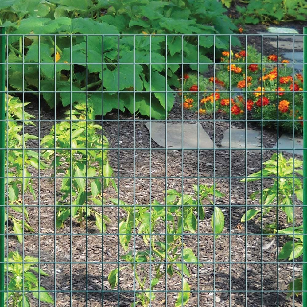 11632747