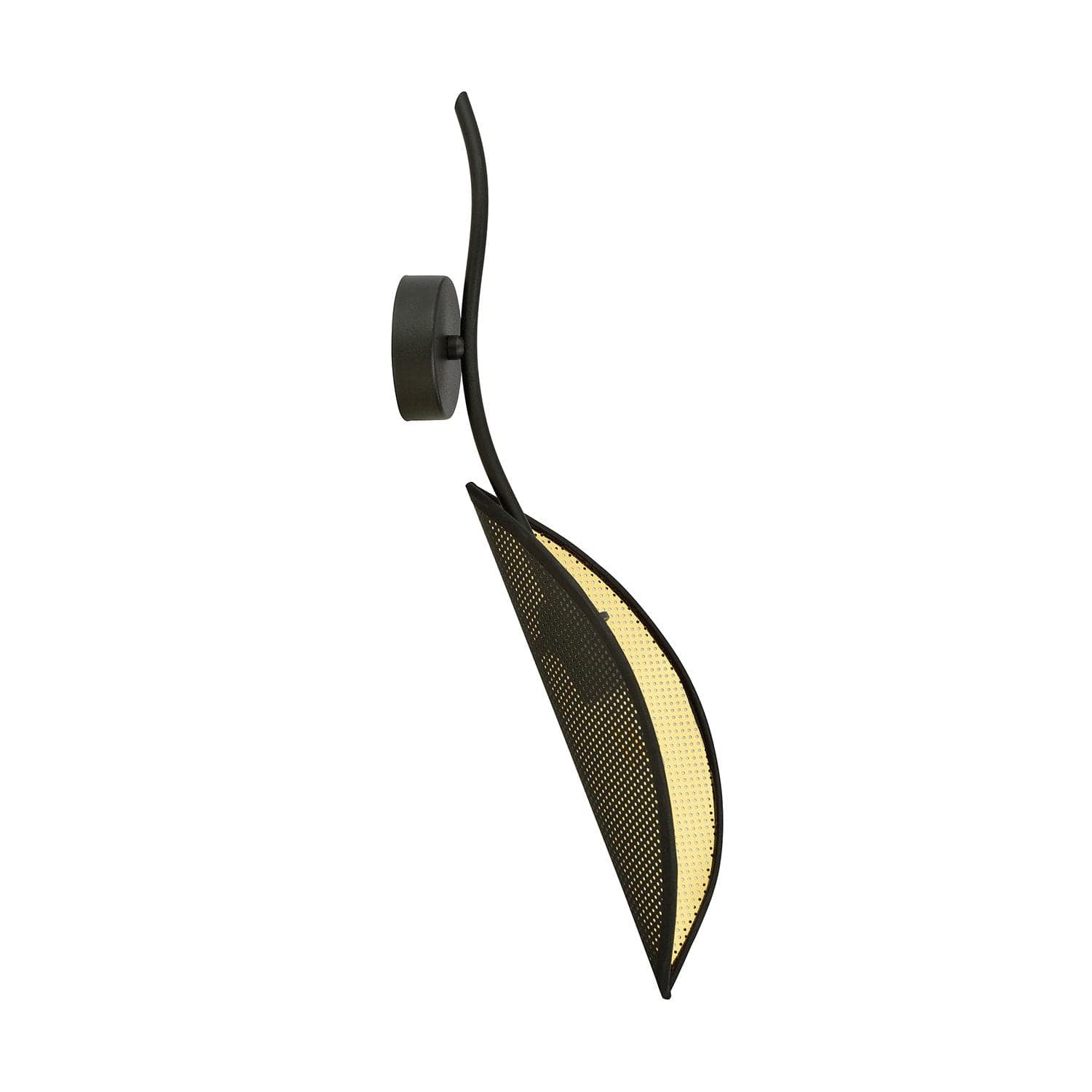 Applique Nordica 1 Luce Lotus In Acciaio Nero Oro in Applique LuceArt - Montecorvino Pugliano, commercioVirtuoso.it
