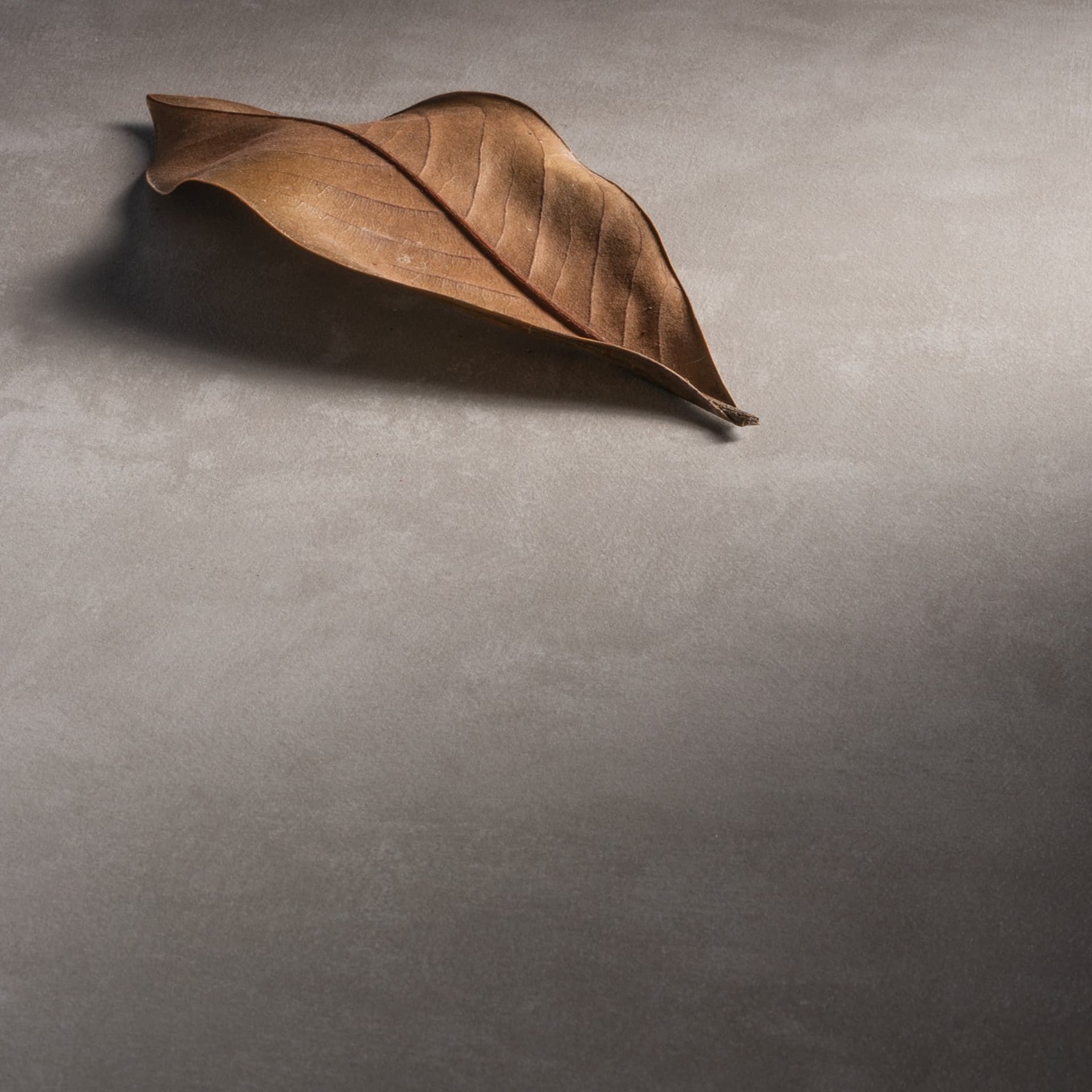 Mobile bagno sospeso 100cm con specchio cemento grigio caldo DUBON in Armadietti a specchio Mondialshop - Parabiago, commercioVirtuoso.it