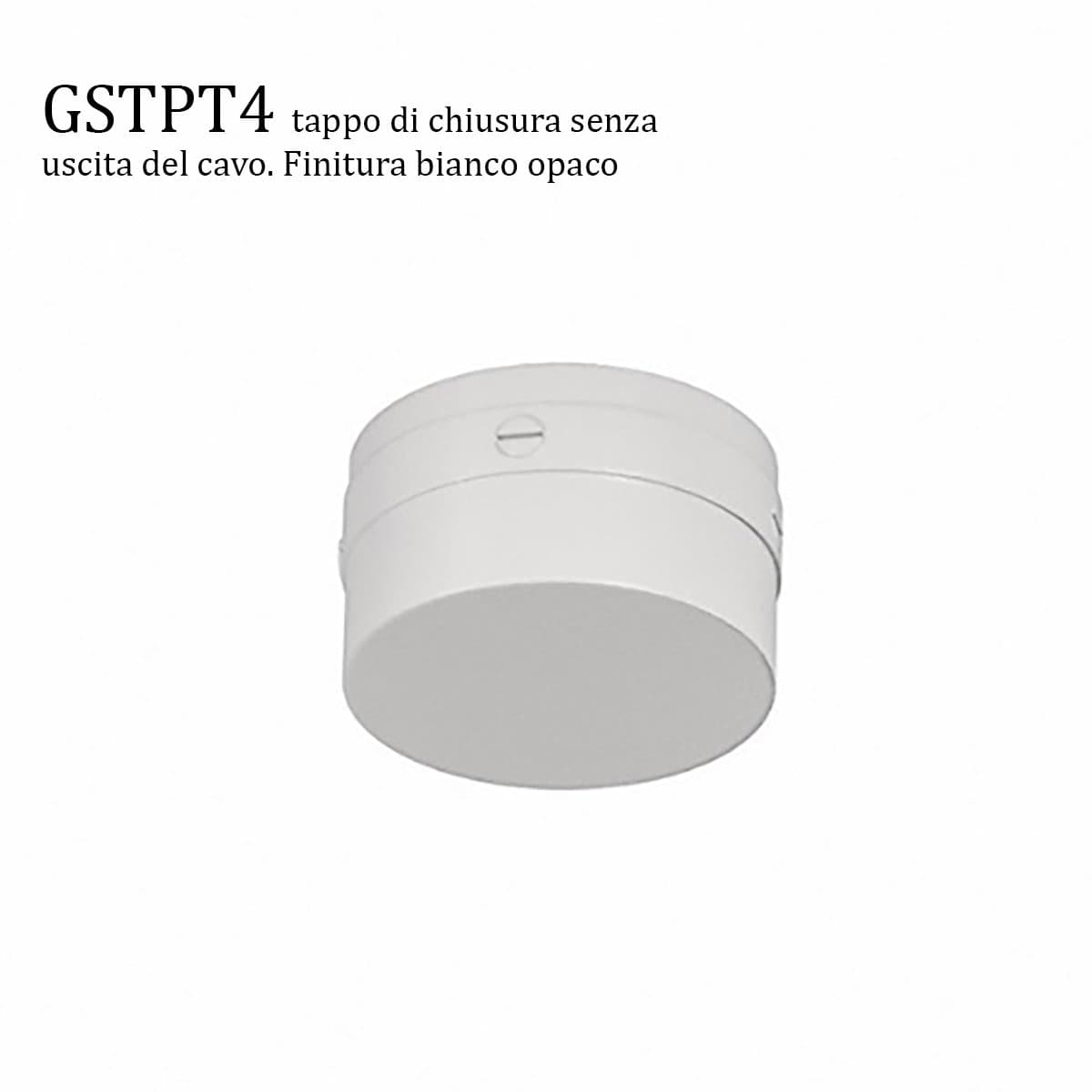 Neon flessibile Gea Led NEON FLEX 360 GST201C GST200C LED 3909LM IP66 3000K 24V striscia tubolare soffitto driver remoto in Nastri LED Lampadari Bartalini - Colle di Val d’Elsa, commercioVirtuoso.it
