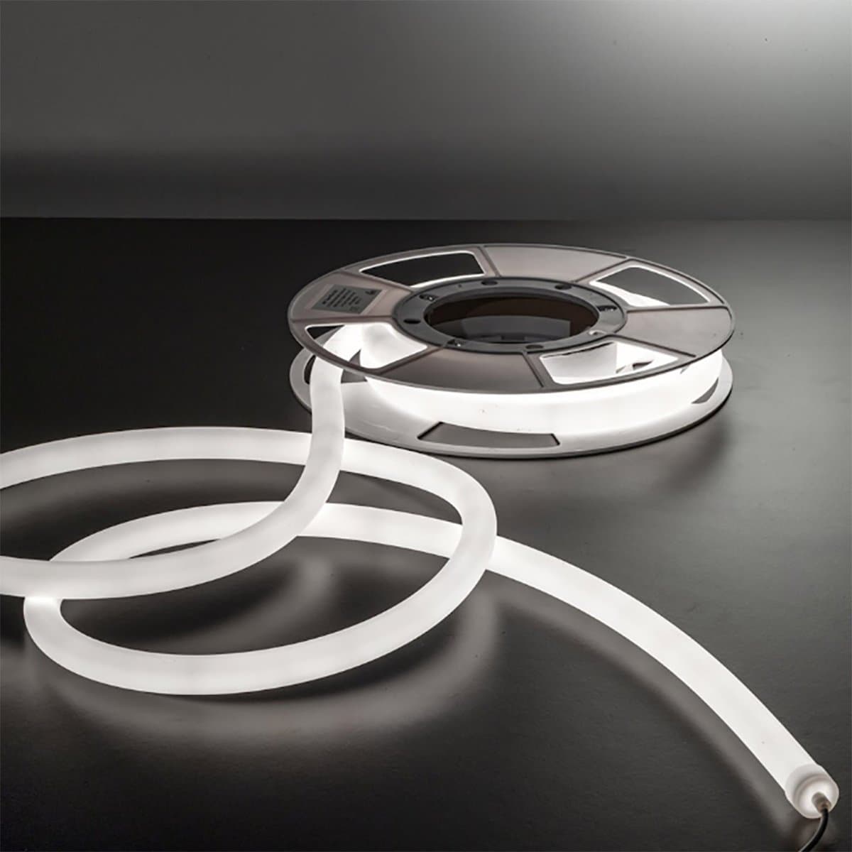 Neon flessibile Gea Led NEON FLEX 360 GST200C CALATE LED 3000LM IP66 3000K 24V striscia tubolare soffitto driver remoto in Nastri LED Lampadari Bartalini - Colle di Val d’Elsa, commercioVirtuoso.it