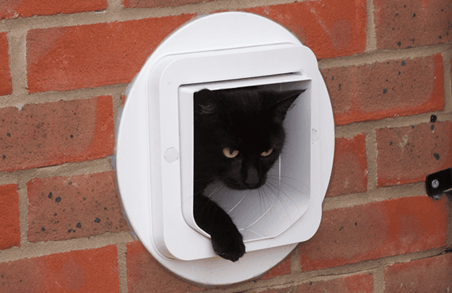 Gattaiola basculante con microchip per gatti Cat Flap in Porte 101 Market - Poggibonsi, commercioVirtuoso.it