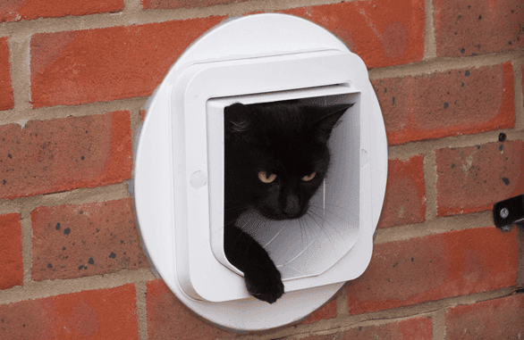 Gattaiola basculante con microchip per gatti Cat Flap in Porte 101 Market - Poggibonsi, commercioVirtuoso.it