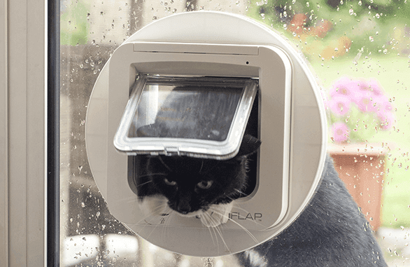 Gattaiola basculante con microchip per gatti Cat Flap in Porte 101 Market - Poggibonsi, commercioVirtuoso.it