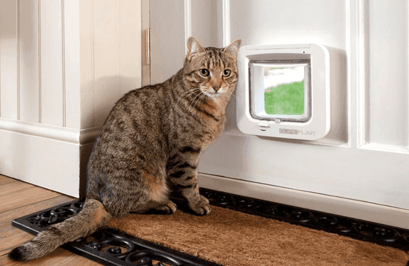 Gattaiola basculante con microchip per gatti Cat Flap in Porte 101 Market - Poggibonsi, commercioVirtuoso.it