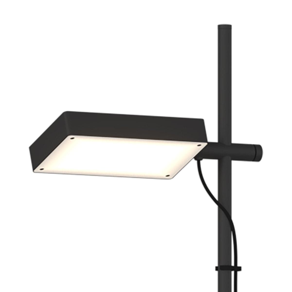 Piantana orientabile Top Light KUBI 1212 T NE LED SWITCH 2400LM illuminazione modulo integrato in Lampade da terra Lampadari Bartalini - Colle di Val d’Elsa, commercioVirtuoso.it