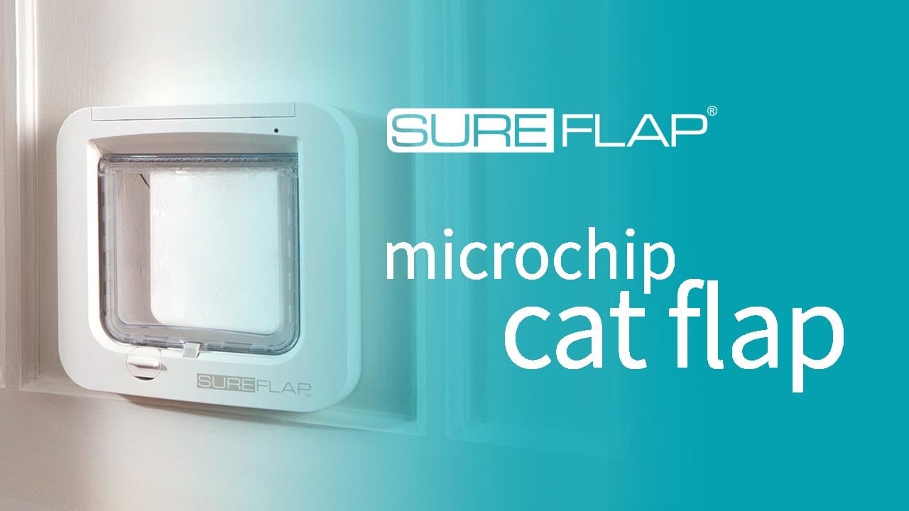 Gattaiola basculante con microchip per gatti Cat Flap in Porte 101 Market - Poggibonsi, commercioVirtuoso.it