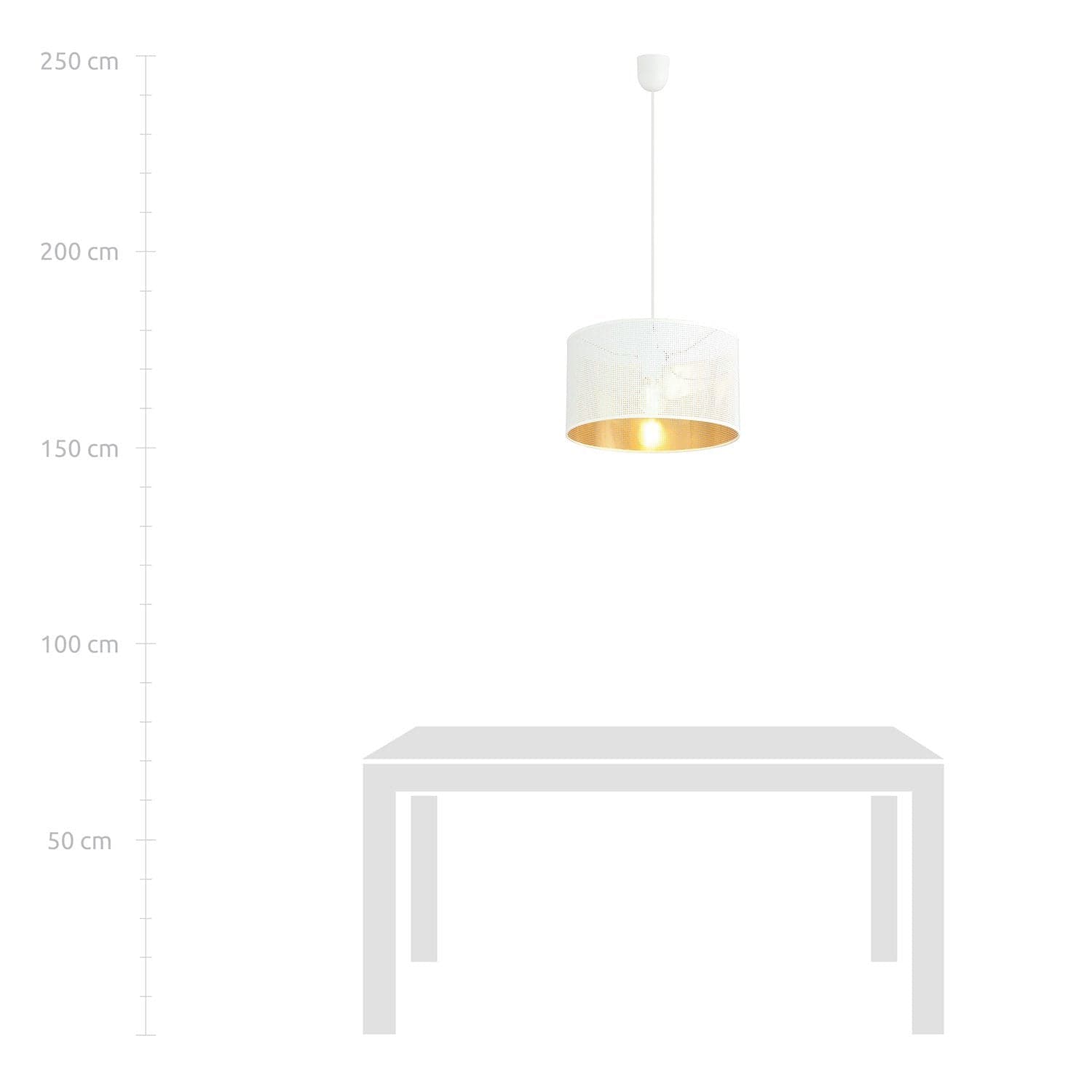 Sospensione Minimal 1 Luce Aston In Acciaio Bianco E Oro in Lampade a sospensione LuceArt - Montecorvino Pugliano, commercioVirtuoso.it
